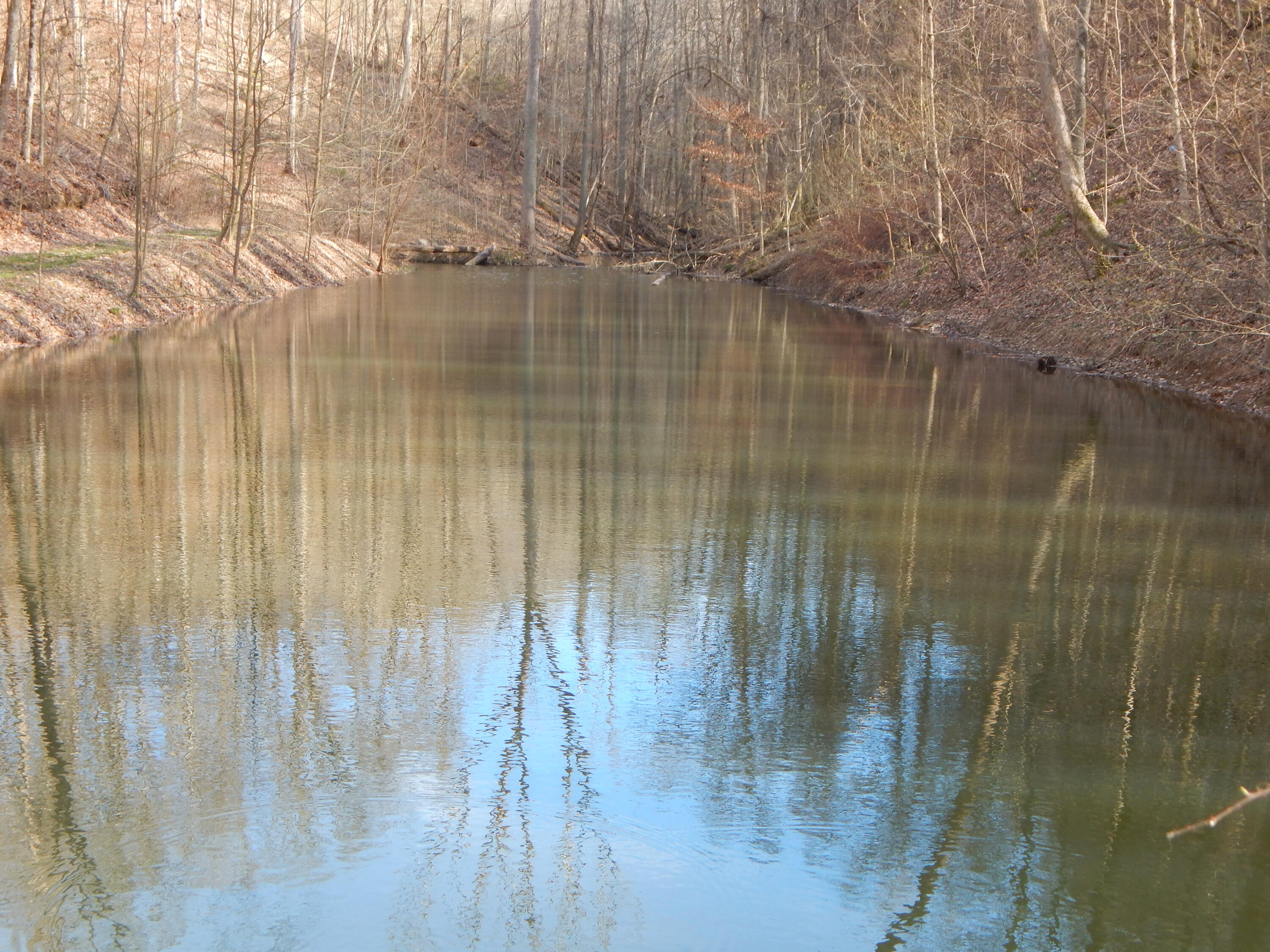 704 River Road, Unit 1 Church Hill, TN 37642 - Photo 59 of 91 DSCN2653