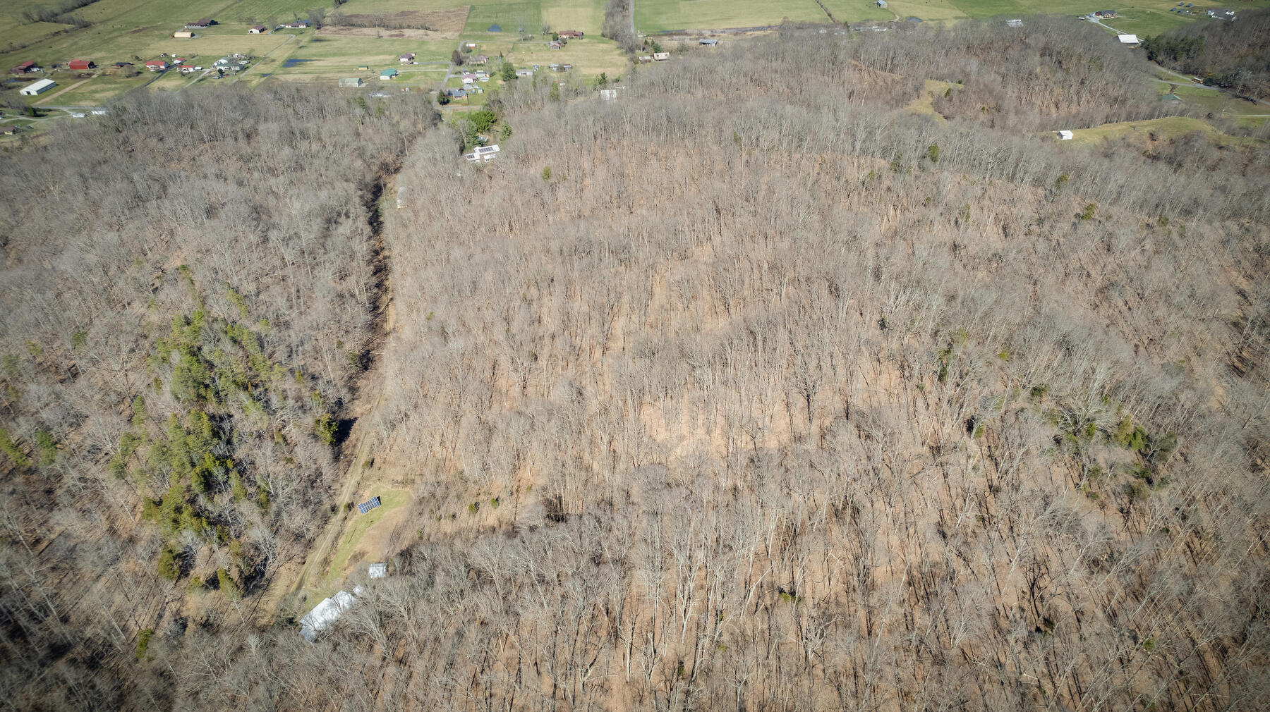 704 River Road, Unit 1 Church Hill, TN 37642 - Photo 90 of 91 215
