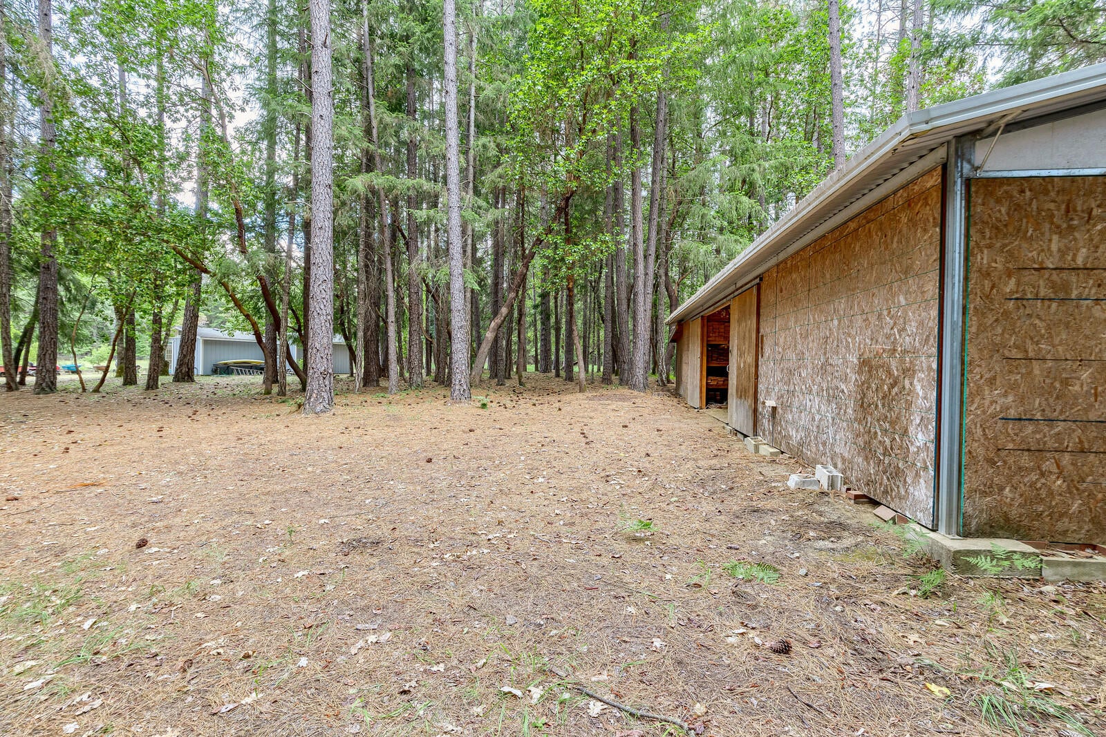 2444 Cedar Flat Road Williams, OR 97544 - Photo 57 of 74 69_CFR_69_mls