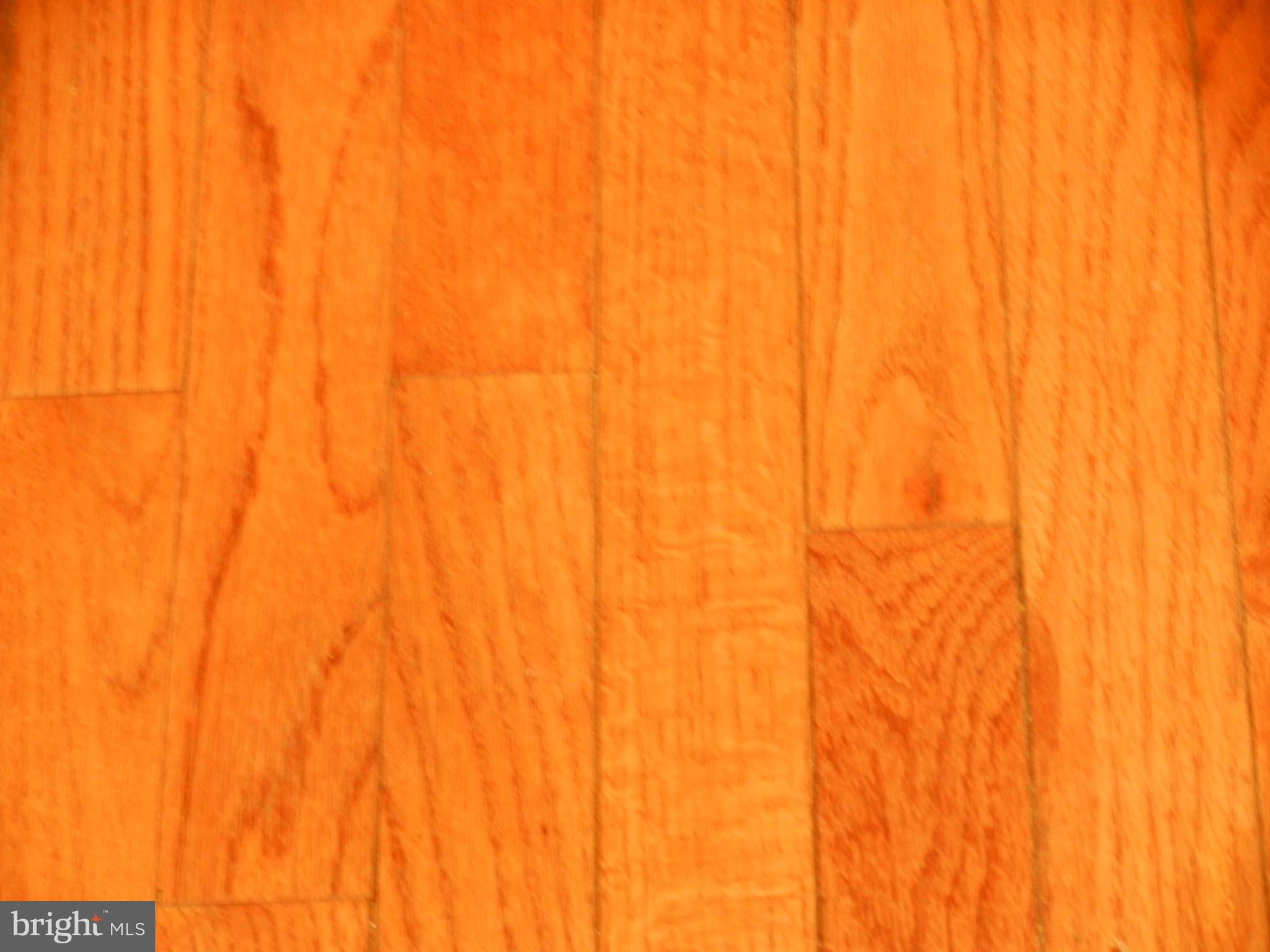 6609 Edsall Road Springfield, VA 22151 - Photo 26 of 26 Hardwood floors