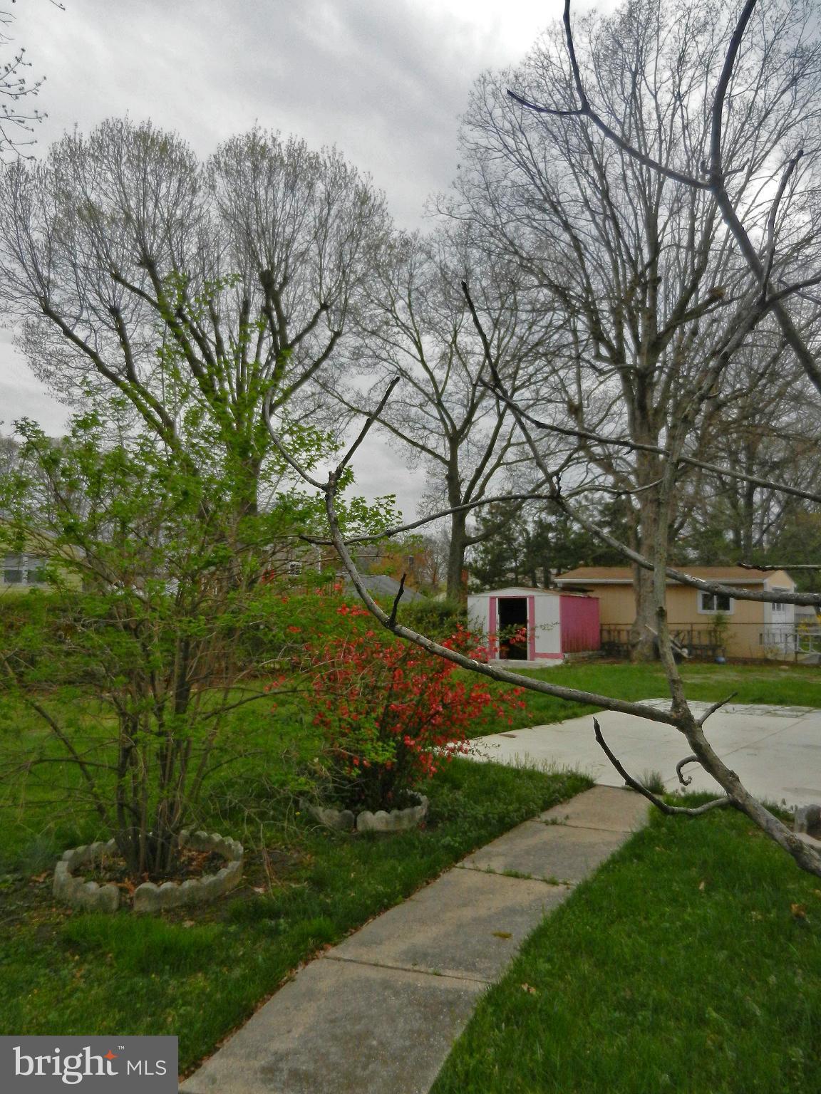 6609 Edsall Road Springfield, VA 22151 - Photo 5 of 26 Exterior (Rear)