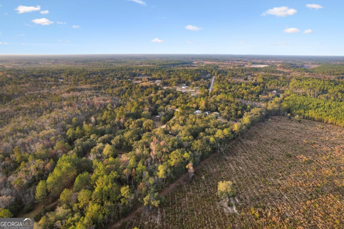 255 Spell Landing Road Hortense, GA 31543 - Photo 22 of 25