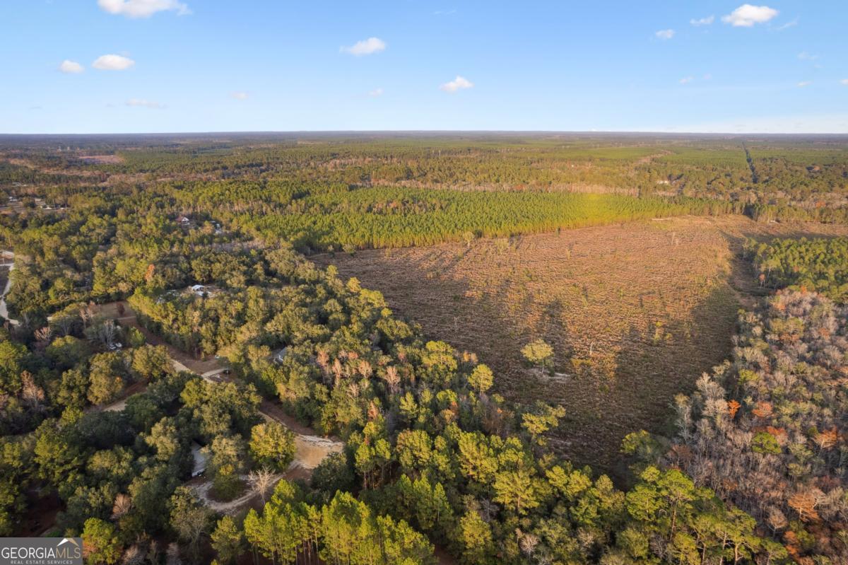 255 Spell Landing Road Hortense, GA 31543 - Photo 23 of 25