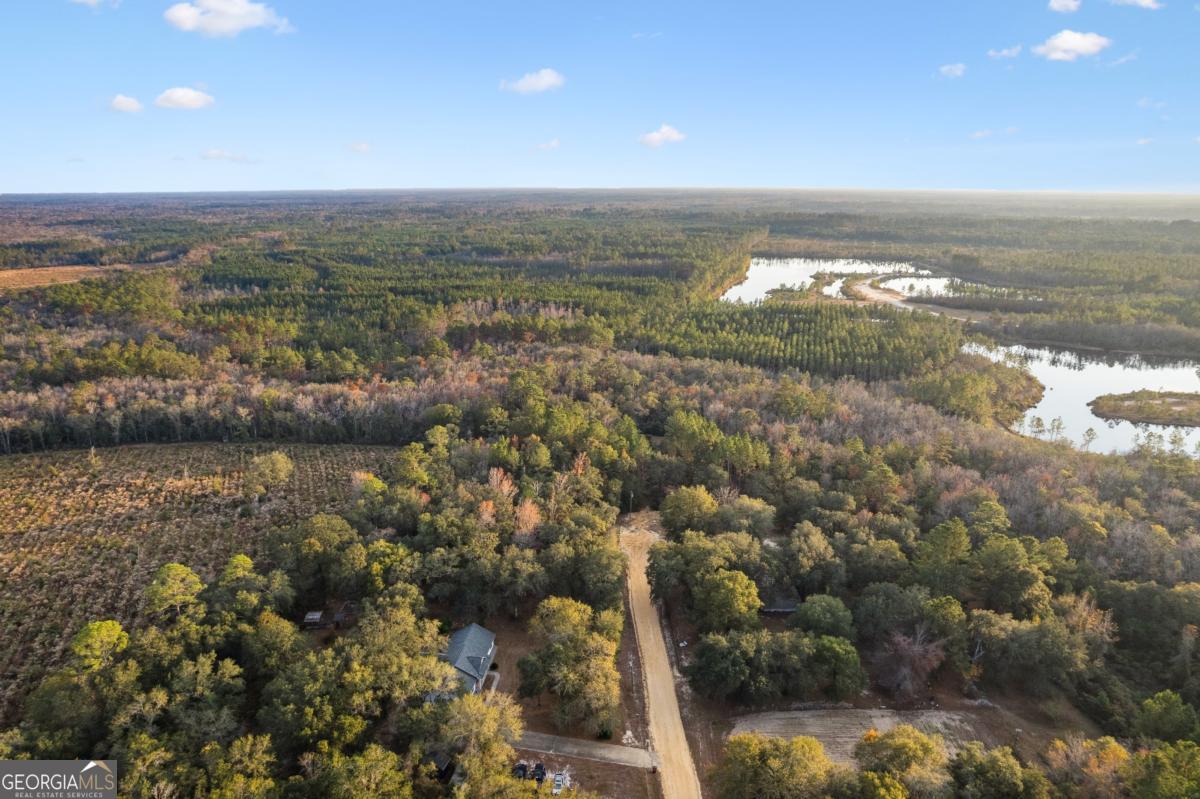 255 Spell Landing Road Hortense, GA 31543 - Photo 24 of 25