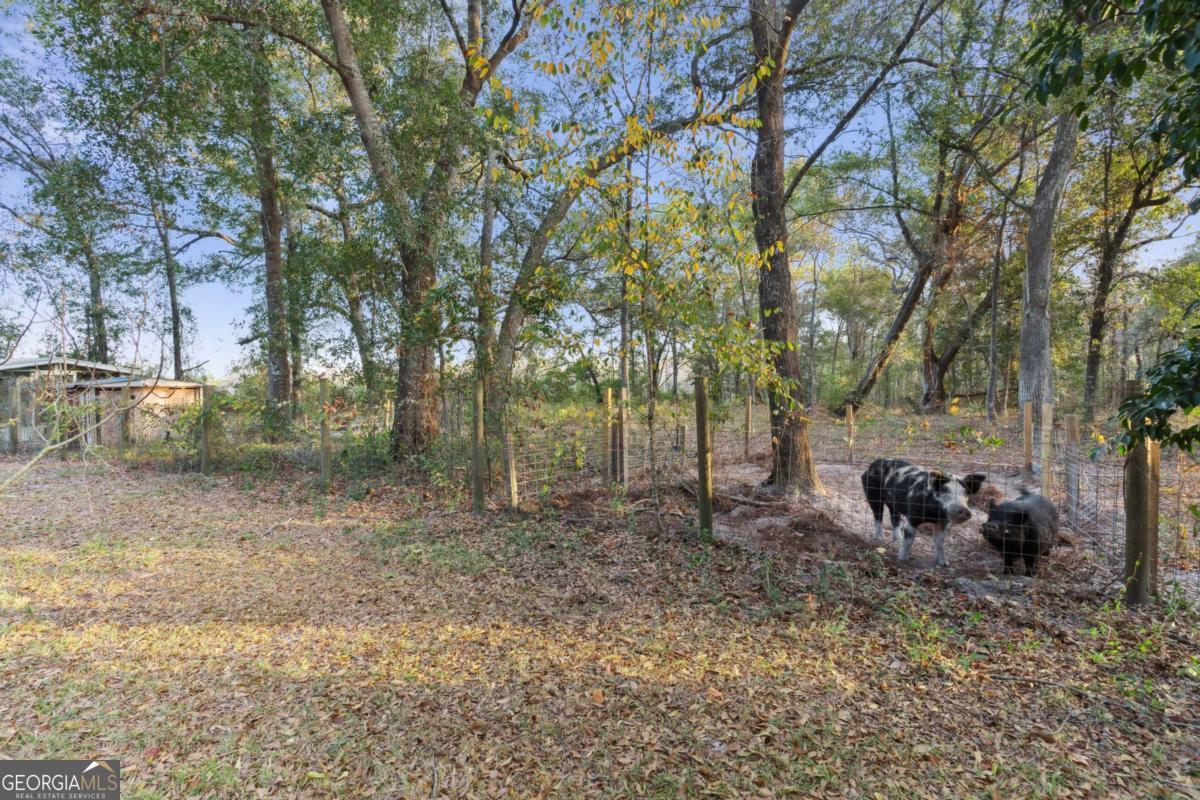 255 Spell Landing Road Hortense, GA 31543 - Photo 25 of 25