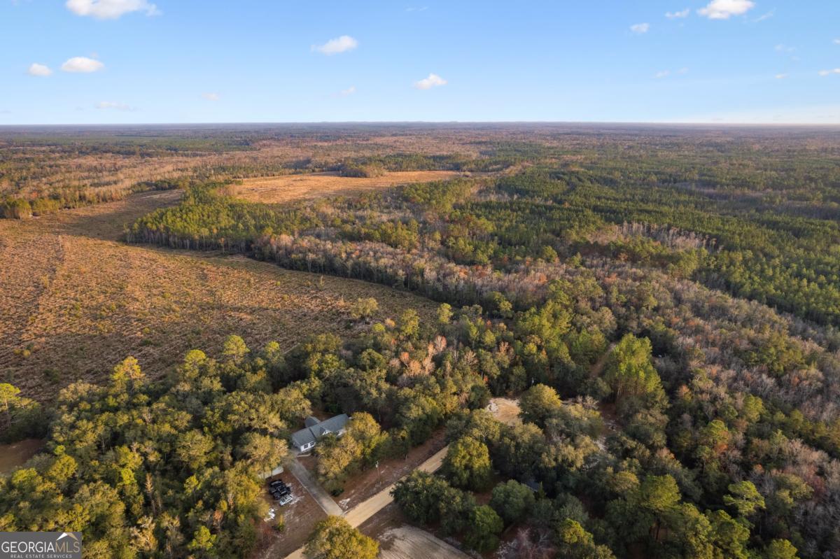 255 Spell Landing Road Hortense, GA 31543 - Photo 3 of 25