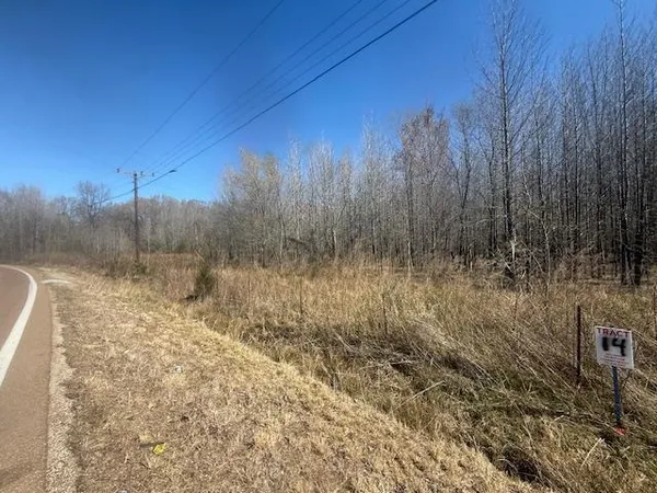 $55,000 | 14 Hwy 22a Highway, Jacks Creek, TN 38347