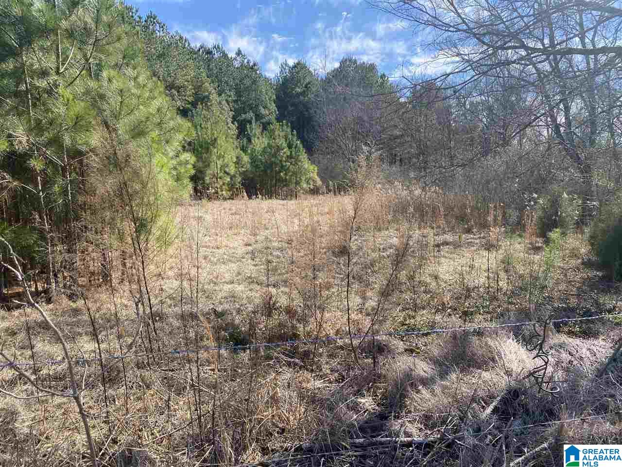 1560 Oren Miller Road, Unit 1 Warrior, AL 35180 - Photo 13 of 19