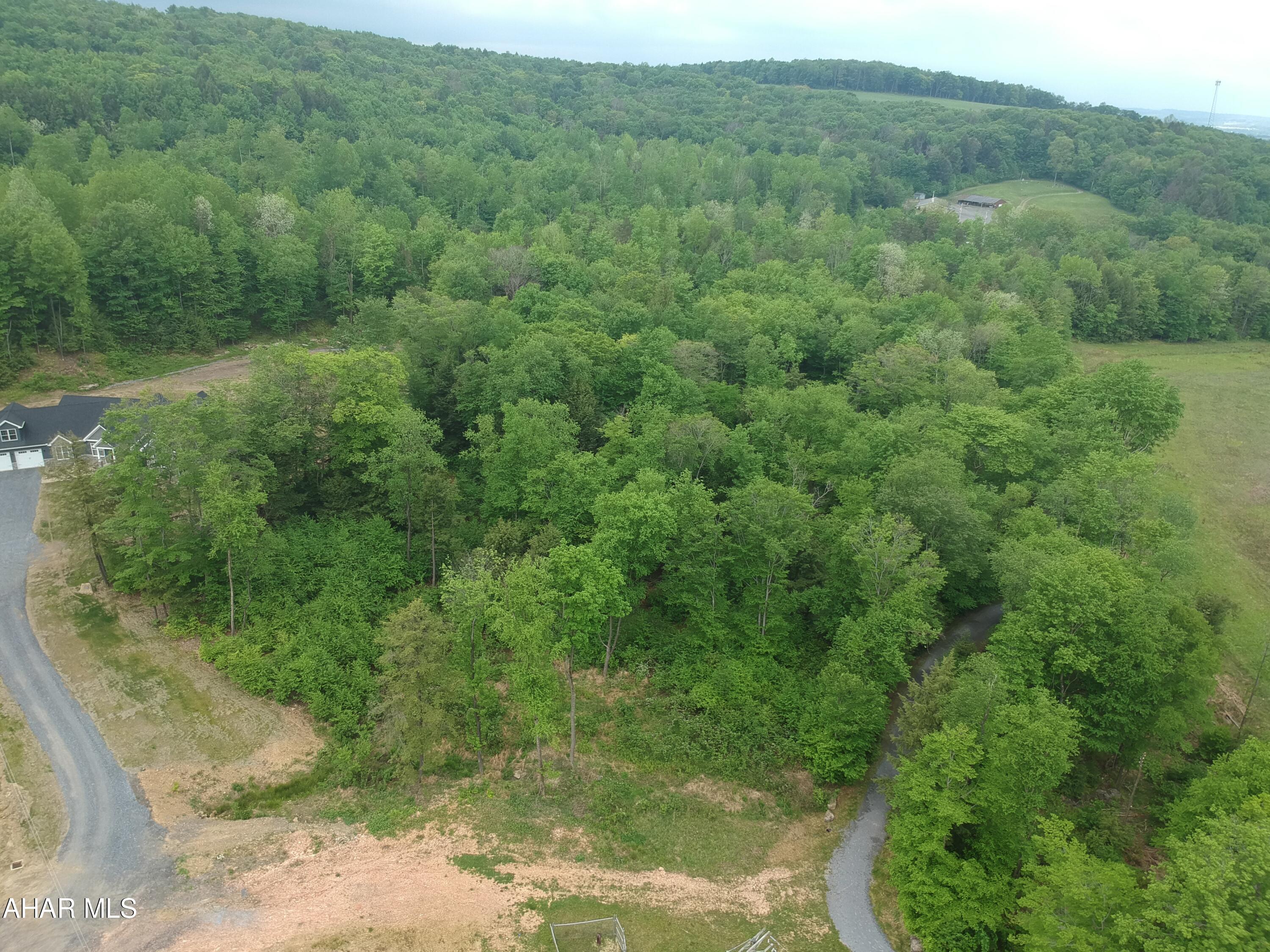 0 Bear Rock Road Ashville, PA 16613 - Photo 3 of 6
