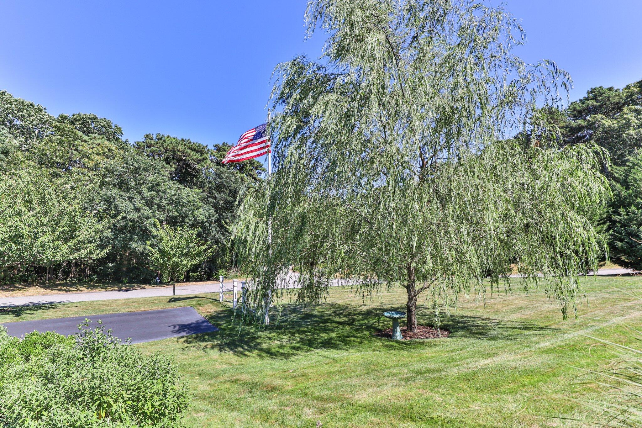 104 Owl Pond Road Brewster, MA 02631 - Photo 2 of 58 104 Owl Pond Front Yard #3