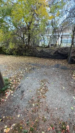 a view of yard