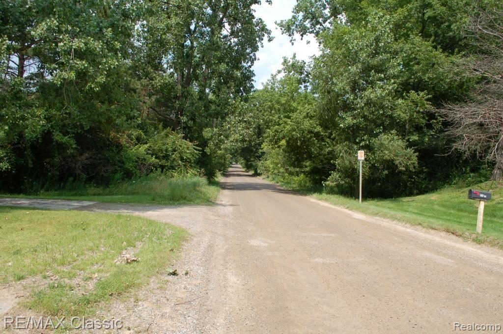 9745 North Eston Road Clarkston, MI 48348 - Photo 50 of 53 TREE LINED ROAD