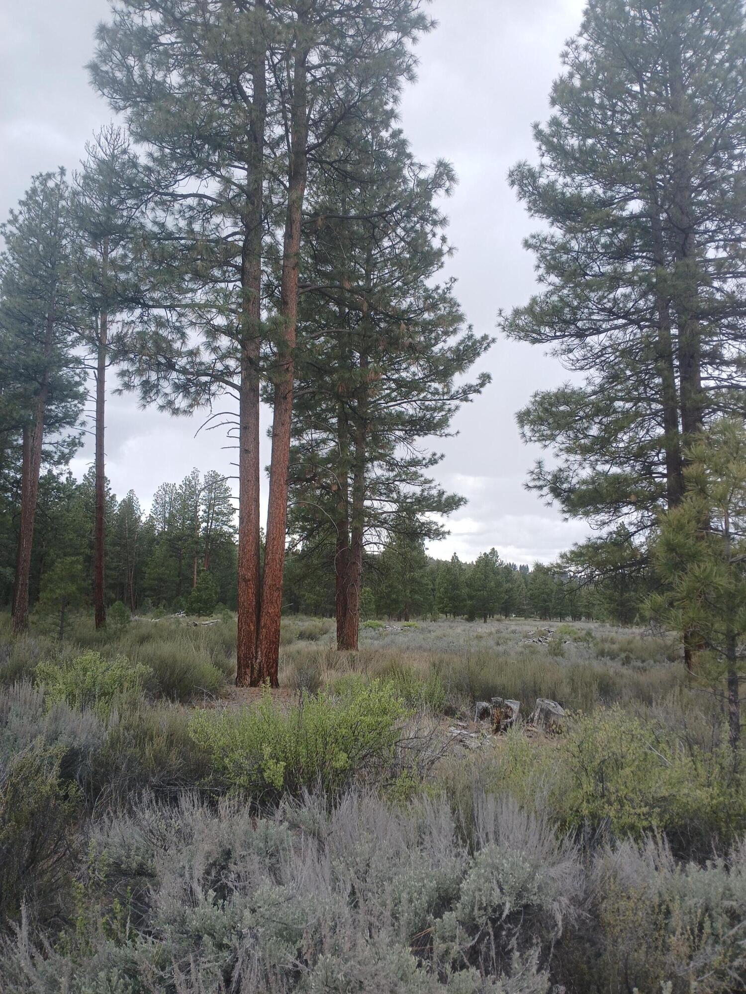 0 Tableland Road Chiloquin, OR 97624 - Photo 14 of 18 20260427_143214