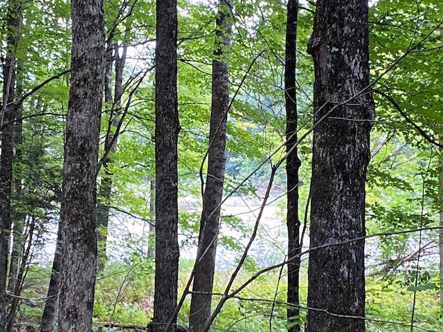 247 Riverside Street Kingfield, ME 04947 - Photo 6 of 29 River view