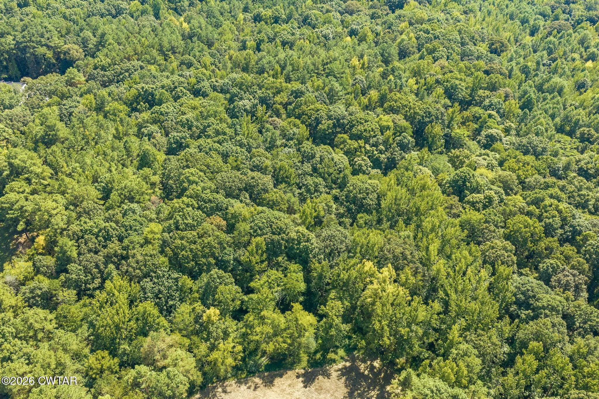 110 Christian Chapel Road Cedar Grove, TN 38321 - Photo 41 of 45 DJI_20260911140340_0886_D