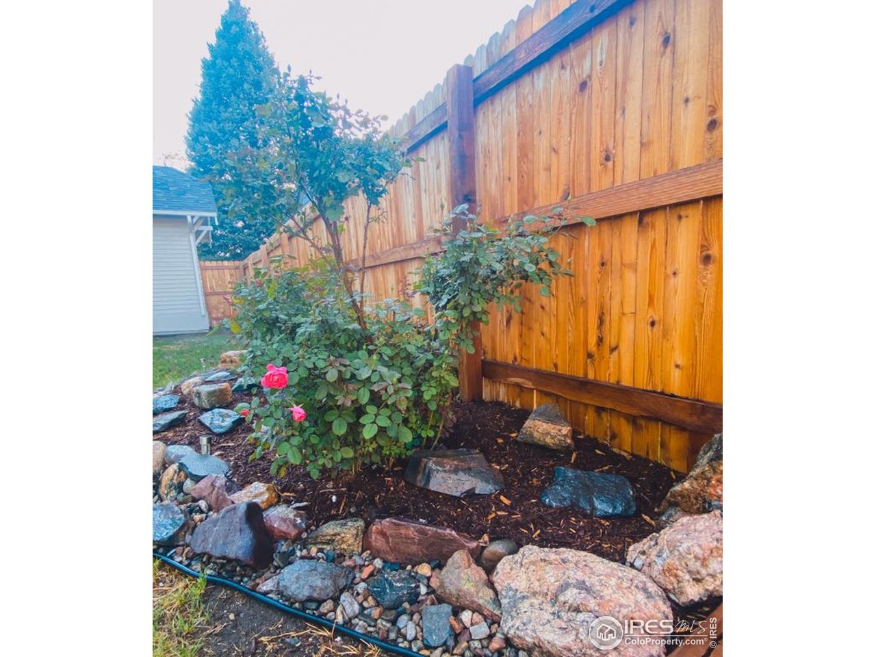 619 Carson Street Brush, CO 80723 - Photo 23 of 27