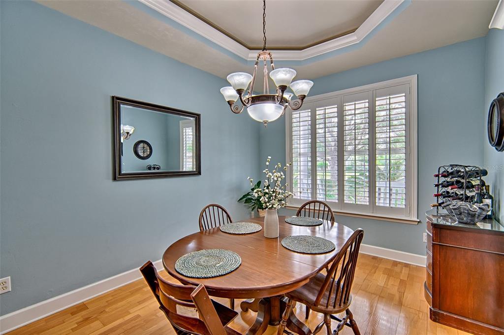 10912 Southwest 17 Lane Gainesville, FL 32607 - Photo 18 of 67 a dining room with furniture a potted plant and a chandelier