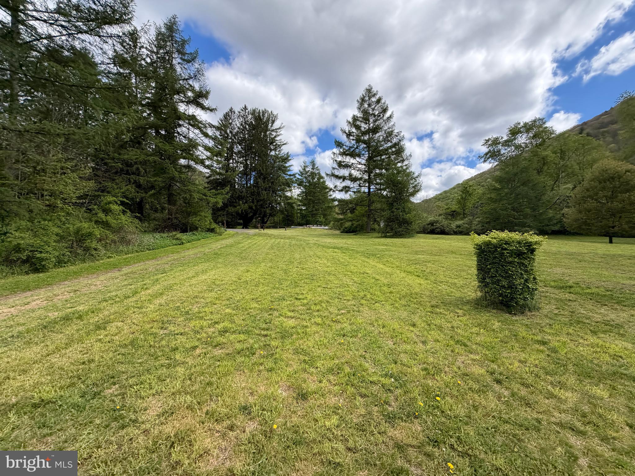 1227 Cross Fork Creek Road Cross Fork, PA 17729 - Photo 100 of 139