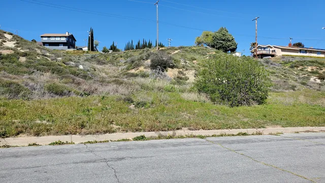 a view of a lush green outdoor space with a lake view