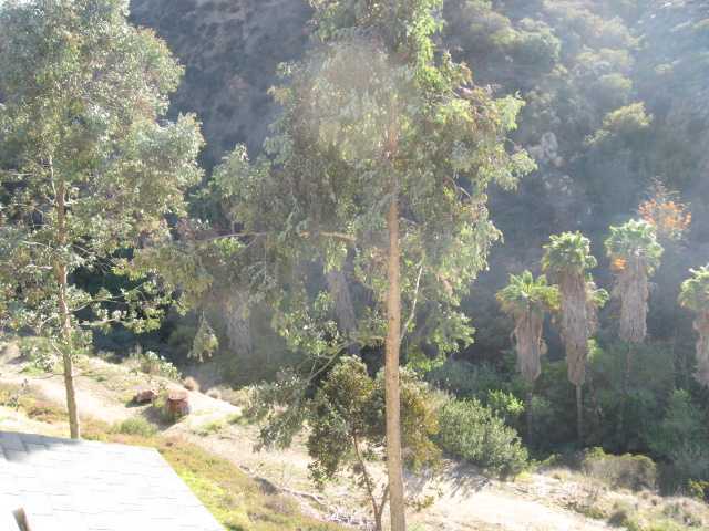 8719 Spring Canyon Drive Spring Valley, CA 91977 - Photo 24 of 25 Gallery Image 24