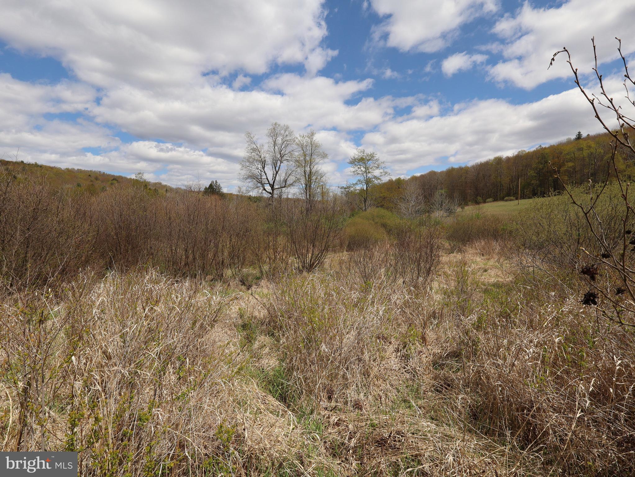 0 Holbrook Road Montrose, PA 18801 - Photo 91 of 147