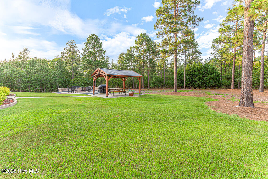 286 Morgan Trail Court West End, NC 27376 - Photo 36 of 66 Private Backyard