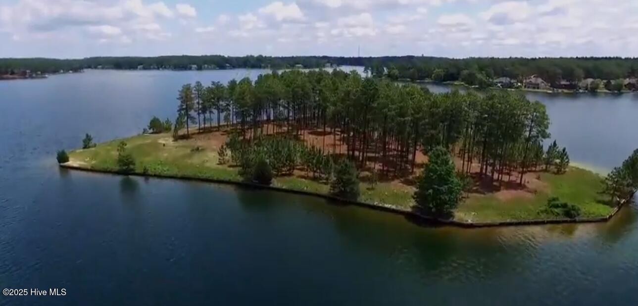 286 Morgan Trail Court West End, NC 27376 - Photo 49 of 66 Pine Island