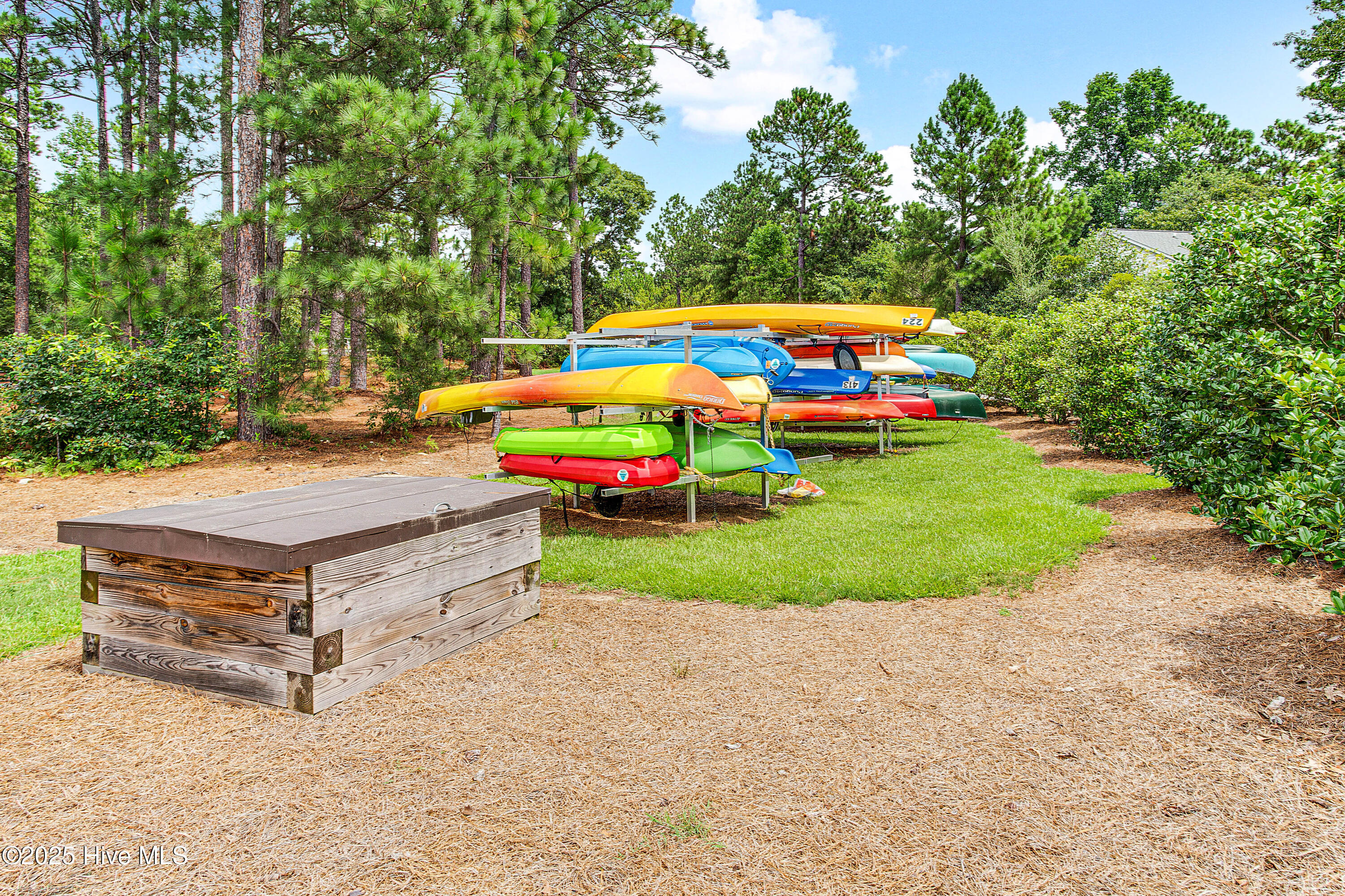 286 Morgan Trail Court West End, NC 27376 - Photo 53 of 66 Kayak & paddle board storage