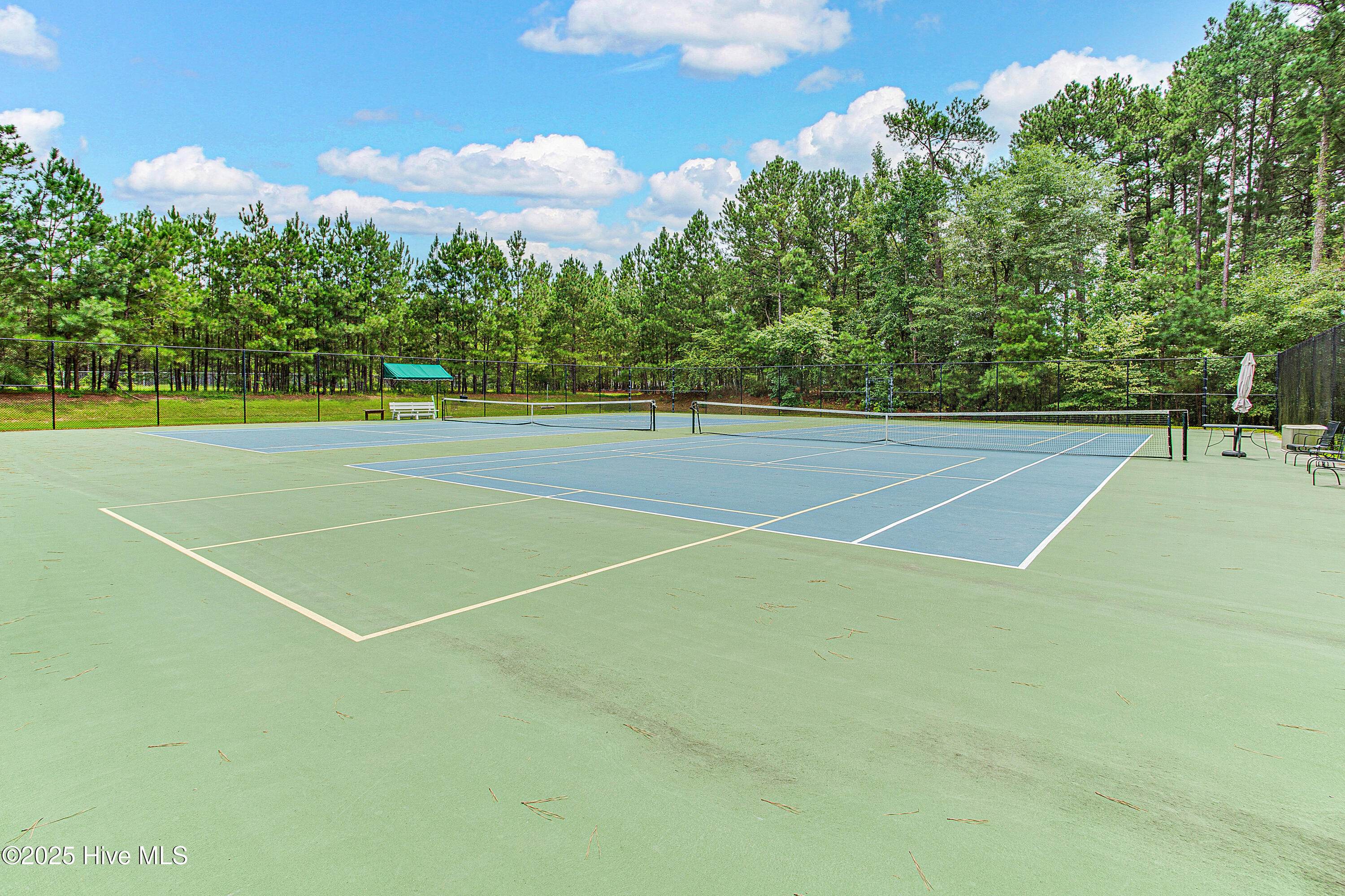 286 Morgan Trail Court West End, NC 27376 - Photo 58 of 66 Pickleball & Tennis Courts