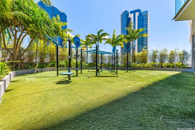 a view of a park with palm trees