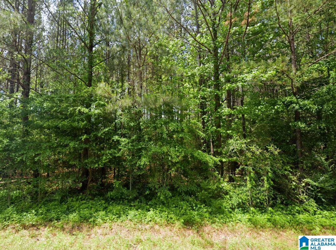 Renfroe Road Alpine, AL 35014 - Photo 1 of 14