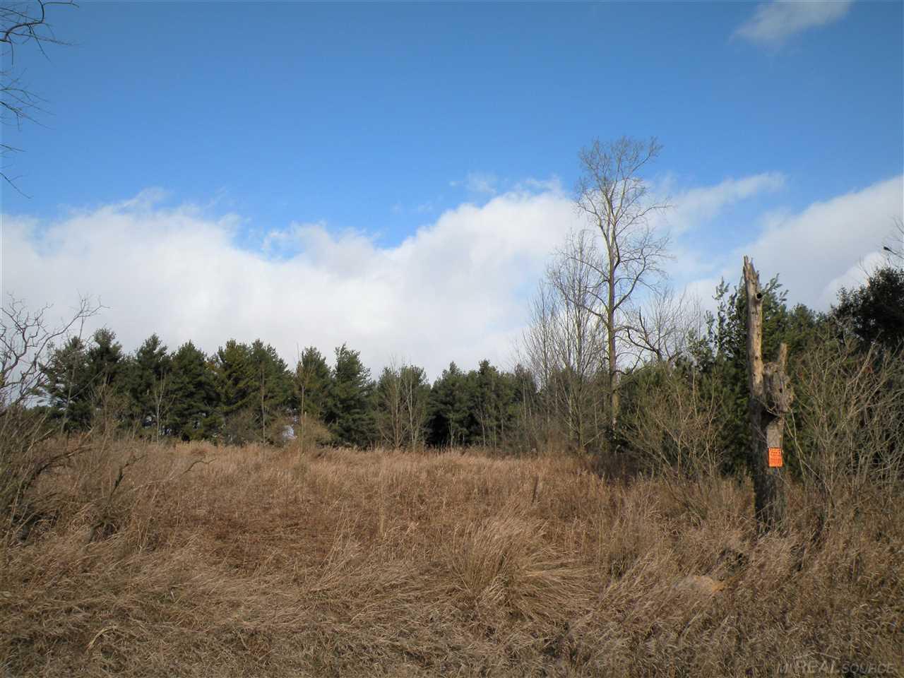 80-acres 80-acres French Line Road Applegate, MI 48401 - Photo 2 of 5