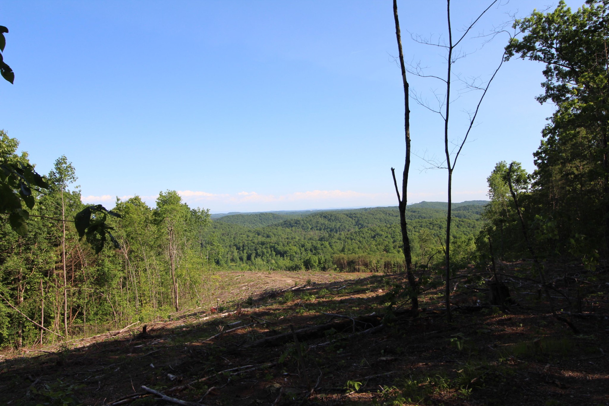 3 Dogtown Road Ten Mile, TN 37880 - Photo 27 of 33 a view of a yard