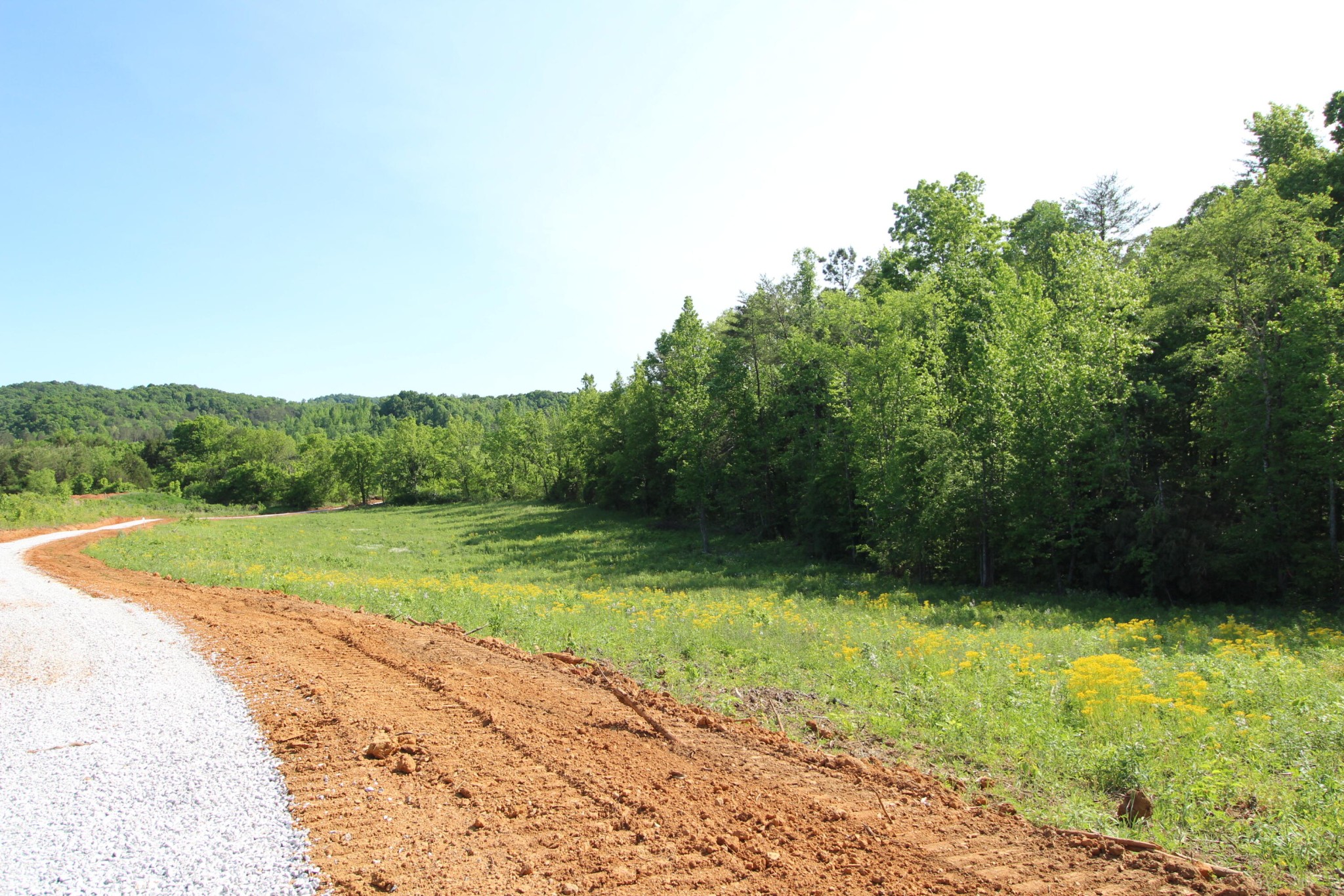 3 Dogtown Road Ten Mile, TN 37880 - Photo 8 of 33 a view of a backyard