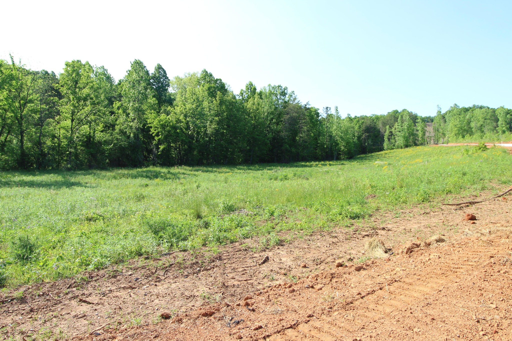 3 Dogtown Road Ten Mile, TN 37880 - Photo 9 of 33 a view of outdoor space with trees all around