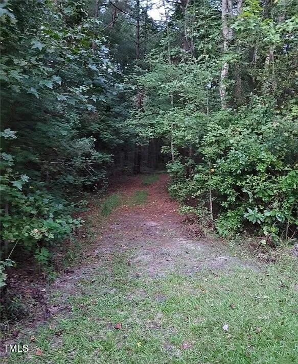 10505 Ruth Vinson Road Autryville, NC 28318 - Photo 2 of 15 hunting trail 2