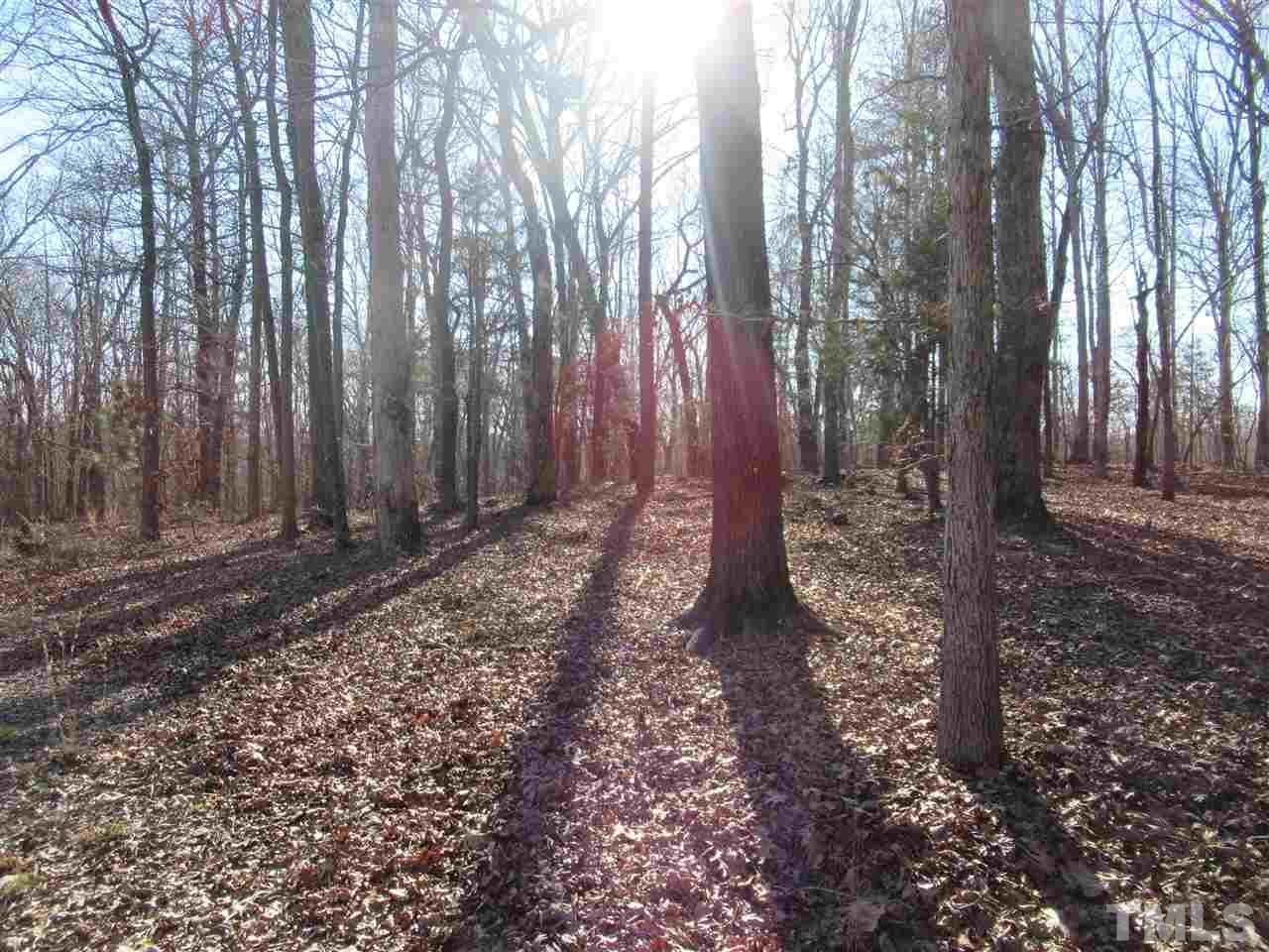 850 Bish Road Staley, NC 27355 - Photo 28 of 30