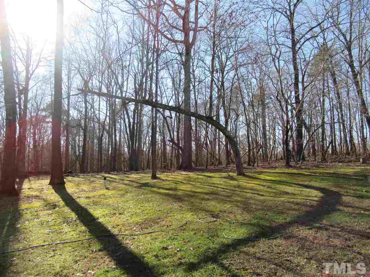 850 Bish Road Staley, NC 27355 - Photo 29 of 30