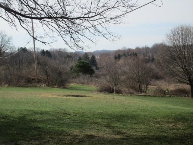1014 Willowbrook Road New Castle, PA 16101 - Photo 5 of 13 Land