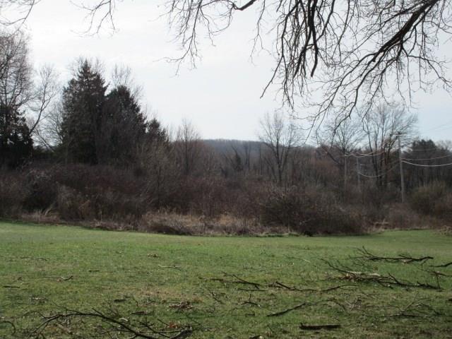 1014 Willowbrook Road New Castle, PA 16101 - Photo 6 of 13 Land