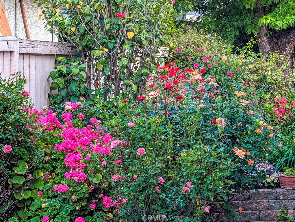 1738 Cambridge Circle Redlands, CA 92374 - Photo 8 of 59 a view of a flower in a garden with a flower and flowers house