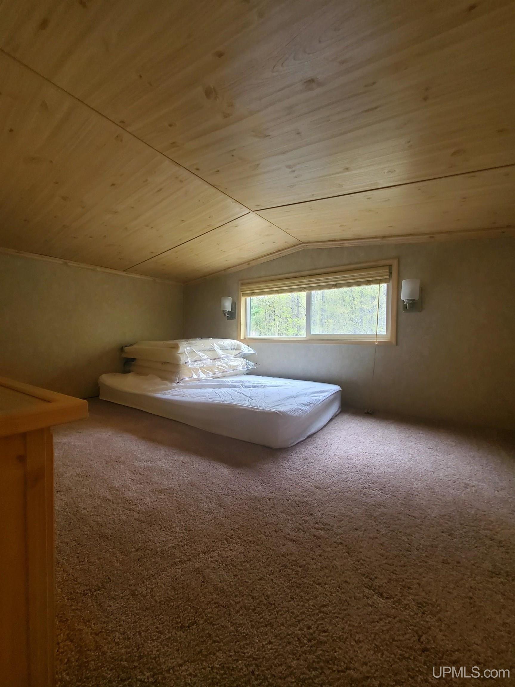 E4381 23 Road Chatham, MI 49816 - Photo 21 of 59