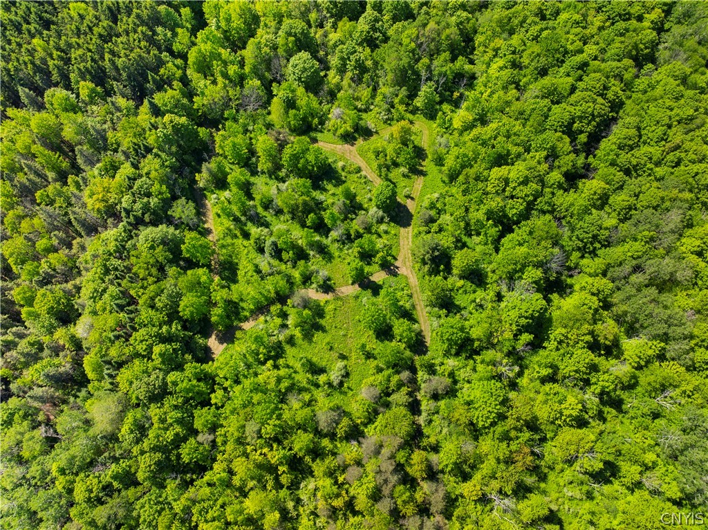 6256 Walker Road Deerfield, NY 13502 - Photo 7 of 14