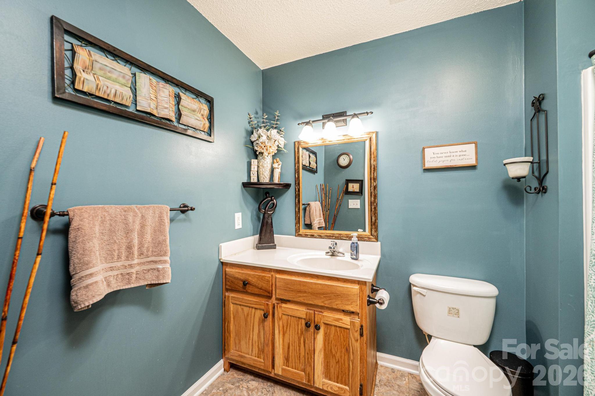 4984 Addison Lane Hickory, NC 28601 - Photo 18 of 32 a bathroom with a toilet a sink and a mirror