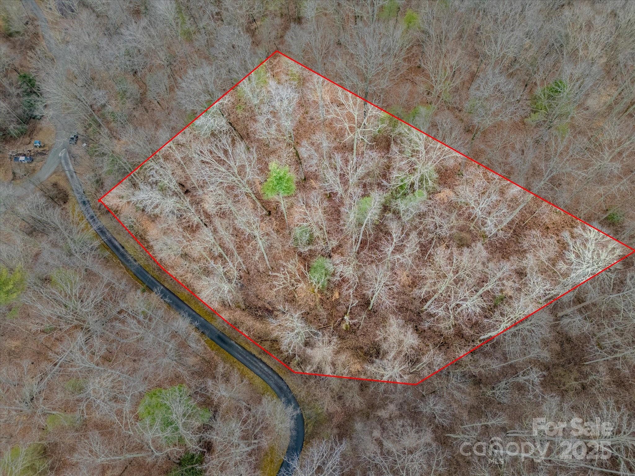 0 Monroe Tipton Road Marshall, NC 28753 - Photo 3 of 11 Gallery Image 3