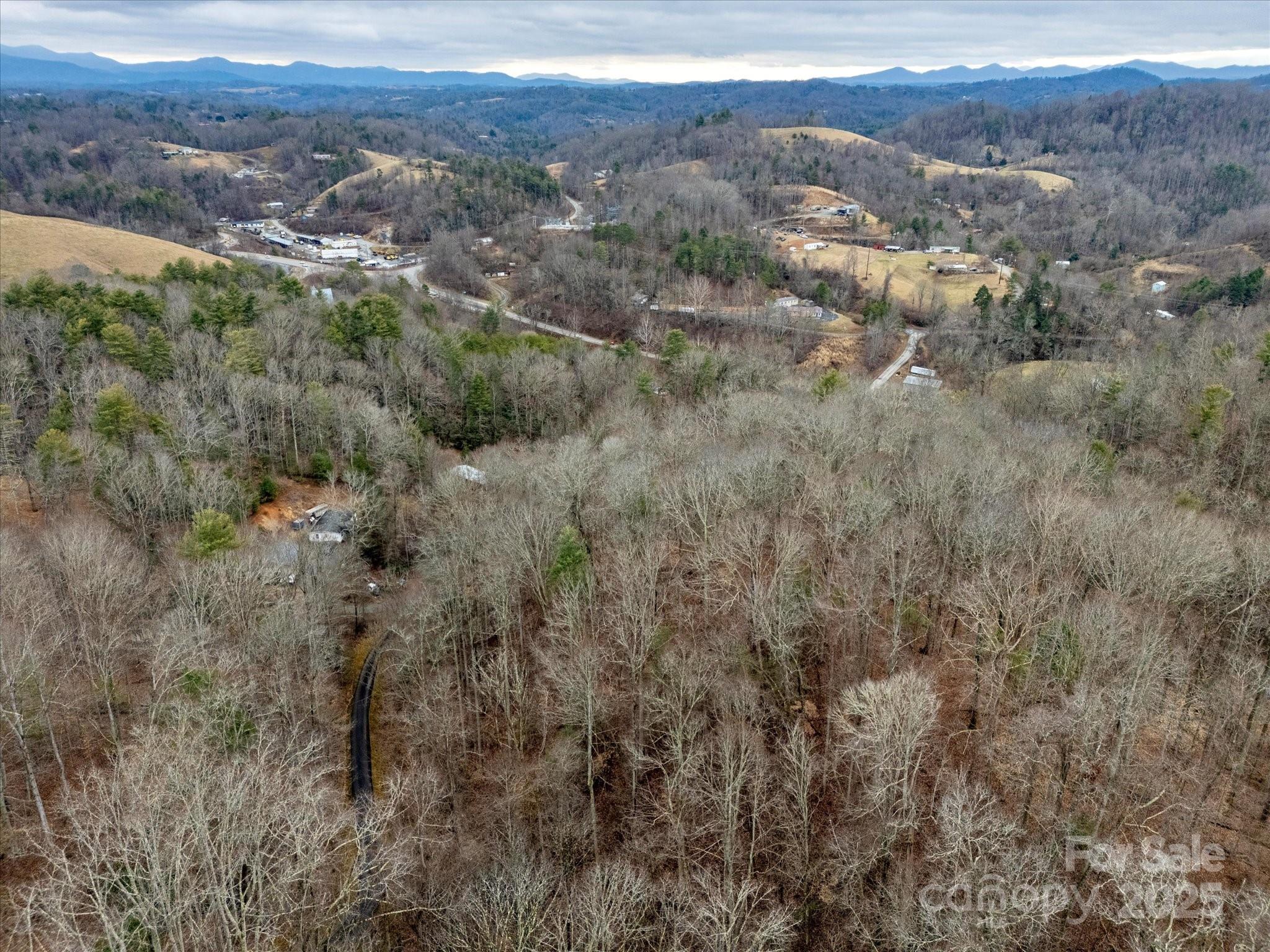 0 Monroe Tipton Road Marshall, NC 28753 - Photo 4 of 11 Gallery Image 4