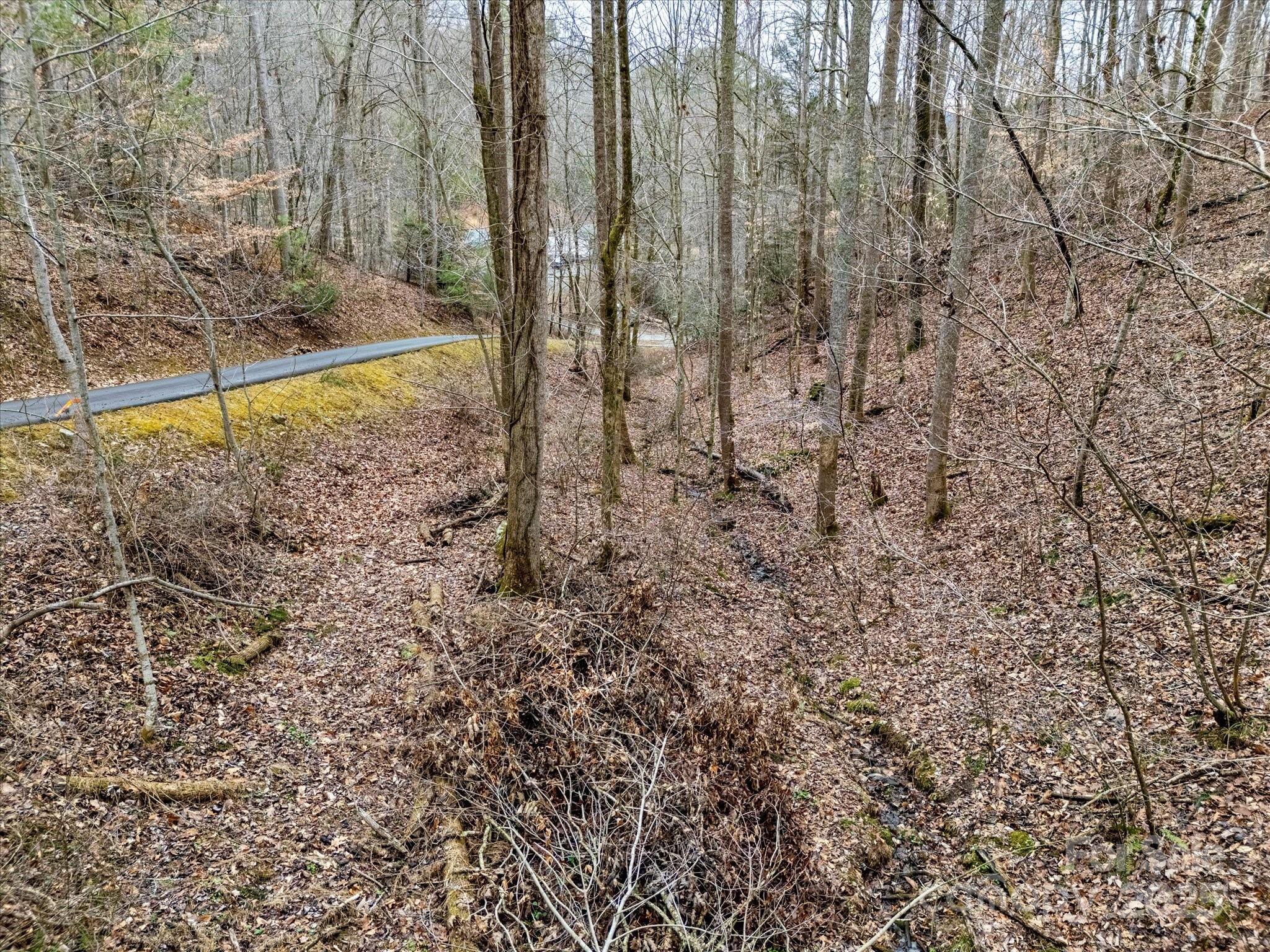 0 Monroe Tipton Road Marshall, NC 28753 - Photo 5 of 11 Gallery Image 5