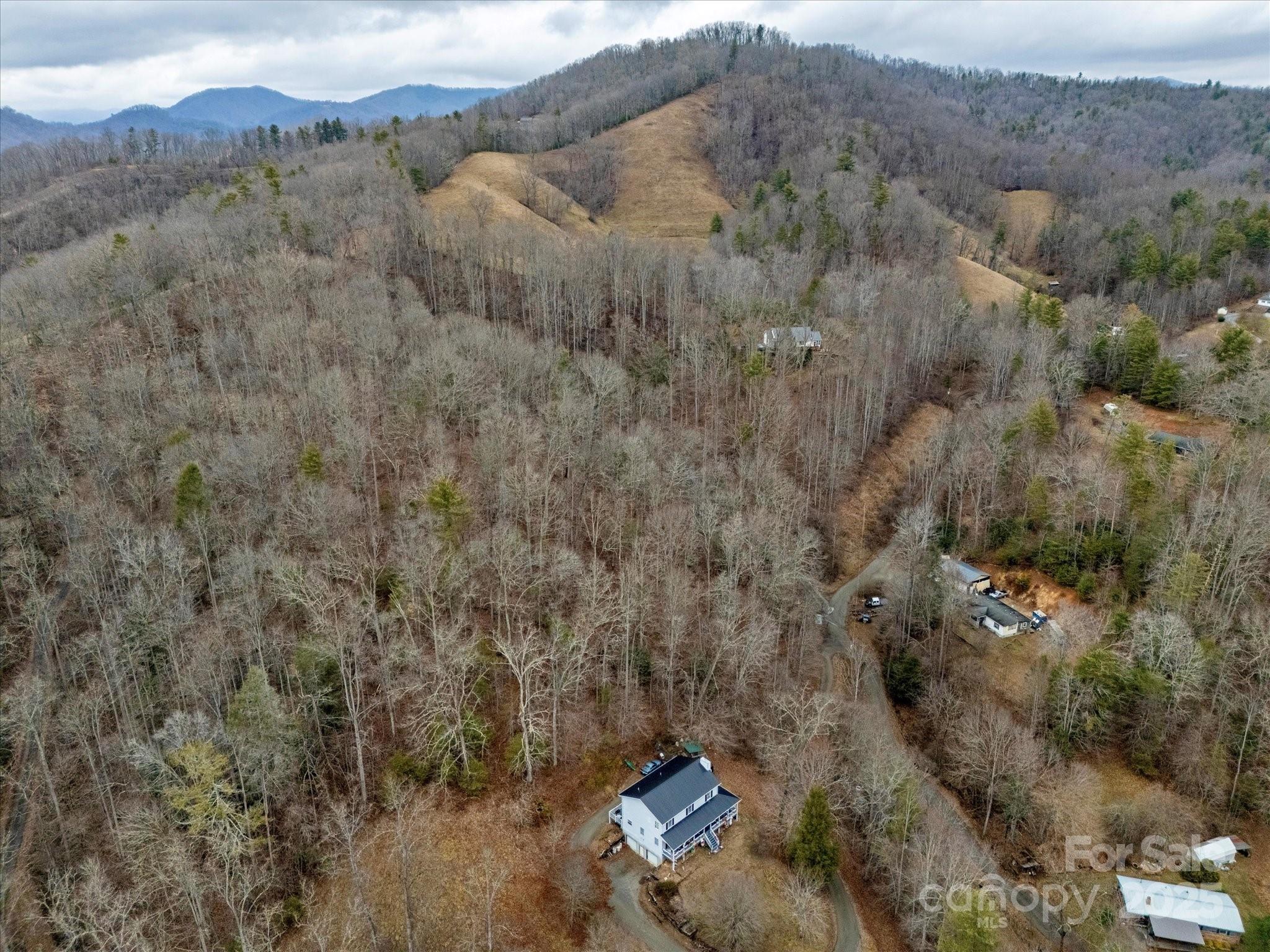 0 Monroe Tipton Road Marshall, NC 28753 - Photo 9 of 11 Gallery Image 9