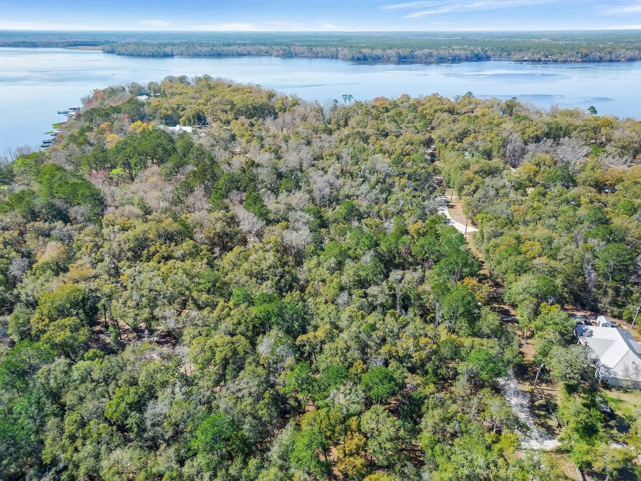 0 Parramore Shores Road Tallahassee, FL 32310 - Photo 11 of 14