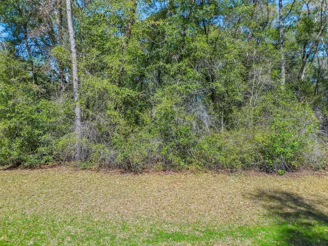 $45,000 | 0 Parramore Shores Road, Tallahassee, FL 32310